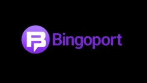 Bingoport logo